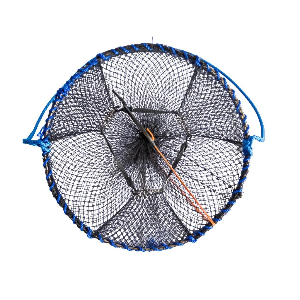 Overtop view of a 30 inch sport prawn trap